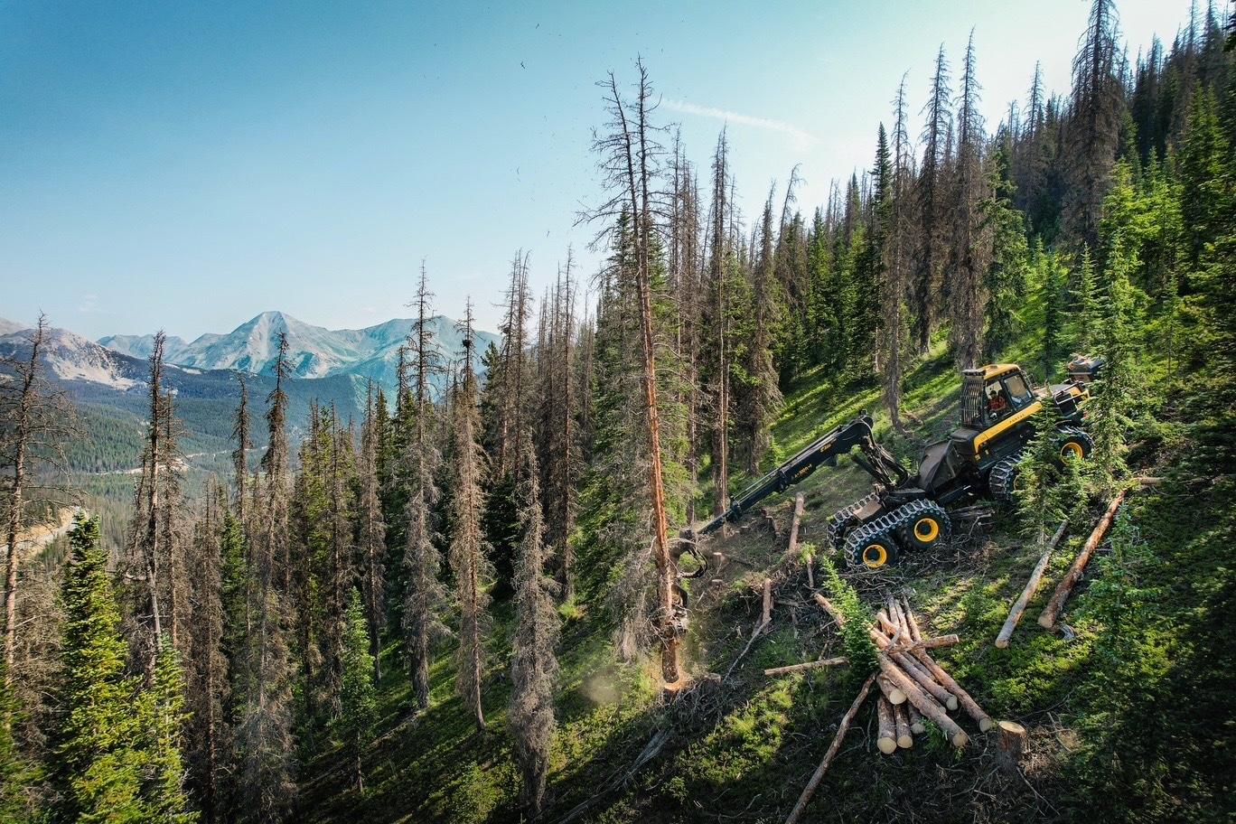 Monarch Pass, Arkansas River Watershed Collaborative and Miller Timber Services